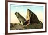 Whales Jaw, Dogtown Common, Gloucester-null-Framed Art Print