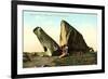 Whales Jaw, Dogtown Common, Gloucester-null-Framed Art Print