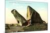 Whales Jaw, Dogtown Common, Gloucester-null-Mounted Art Print