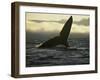 Whales Tale-Art Wolfe-Framed Photographic Print