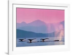 Whales-null-Framed Art Print