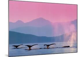 Whales-null-Mounted Art Print