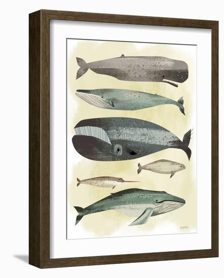 Whales-Pete Oswald-Framed Art Print