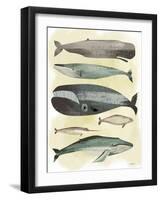 Whales-Pete Oswald-Framed Art Print