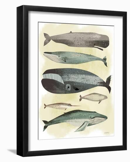 Whales-Pete Oswald-Framed Art Print