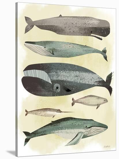 Whales-Pete Oswald-Stretched Canvas