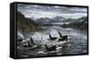 Whales-Jeff Tift-Framed Stretched Canvas