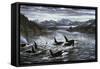 Whales-Jeff Tift-Framed Stretched Canvas