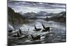 Whales-Jeff Tift-Mounted Premium Giclee Print