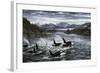 Whales-Jeff Tift-Framed Giclee Print