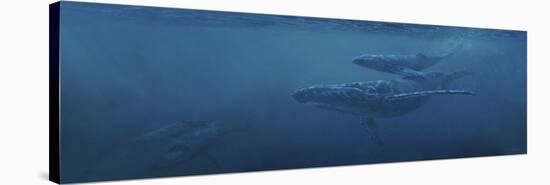 Whales-Michael Jackson-Stretched Canvas