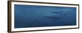 Whales-Michael Jackson-Framed Giclee Print