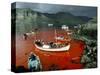 Whaling, Faroe Islands (Faeroes), North Atlantic-Adam Woolfitt-Stretched Canvas