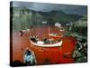 Whaling, Faroe Islands (Faeroes), North Atlantic-Adam Woolfitt-Stretched Canvas