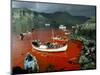 Whaling, Faroe Islands (Faeroes), North Atlantic-Adam Woolfitt-Mounted Photographic Print