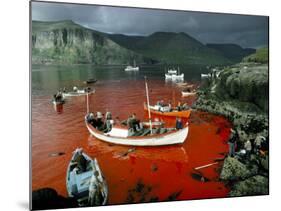 Whaling, Faroe Islands (Faeroes), North Atlantic-Adam Woolfitt-Mounted Photographic Print