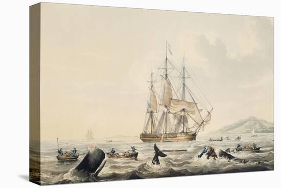 Whaling in South Seas, by William John Huggins (1781-1845), 44X57 Cm, 19th Century-William John Huggins-Stretched Canvas