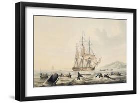 Whaling in South Seas, by William John Huggins (1781-1845), 44X57 Cm, 19th Century-William John Huggins-Framed Giclee Print