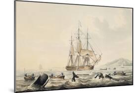 Whaling in South Seas, by William John Huggins (1781-1845), 44X57 Cm, 19th Century-William John Huggins-Mounted Giclee Print