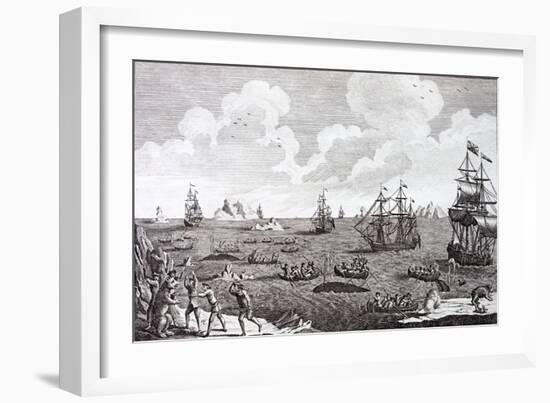 Whaling in the 18th Century, a British Naval Squadron in the Arctic-null-Framed Giclee Print