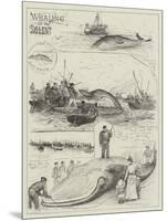 Whaling in the Solent-Henry Charles Seppings Wright-Mounted Giclee Print