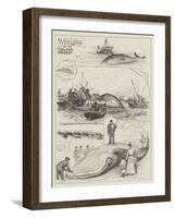 Whaling in the Solent-Henry Charles Seppings Wright-Framed Giclee Print