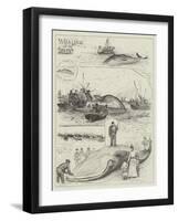 Whaling in the Solent-Henry Charles Seppings Wright-Framed Giclee Print