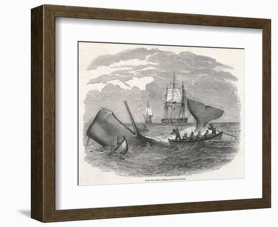 Whaling in the South Seas-W.j Linton-Framed Photographic Print