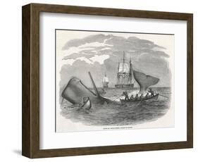 Whaling in the South Seas-W.j Linton-Framed Photographic Print