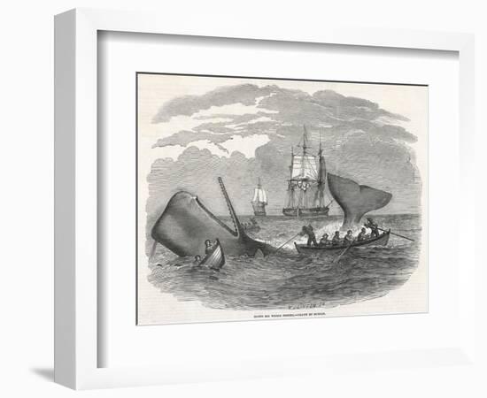 Whaling in the South Seas-W.j Linton-Framed Photographic Print