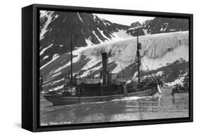 Whaling, Magdalene Bay, Spitzbergen, Norway, 1929-null-Framed Stretched Canvas