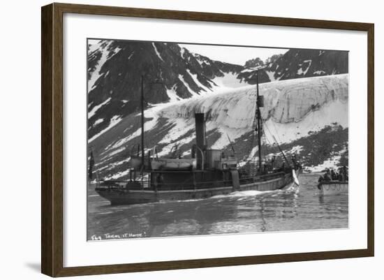 Whaling, Magdalene Bay, Spitzbergen, Norway, 1929-null-Framed Giclee Print