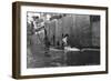 Whaling, Magdalene Bay, Spitzbergen, Norway, 1929-null-Framed Giclee Print