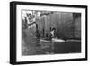 Whaling, Magdalene Bay, Spitzbergen, Norway, 1929-null-Framed Giclee Print