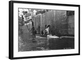 Whaling, Magdalene Bay, Spitzbergen, Norway, 1929-null-Framed Giclee Print