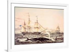 Whaling Off the Cape of Good Hope-Louis Lebreton-Framed Giclee Print