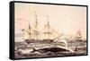 Whaling Off the Cape of Good Hope-Louis Lebreton-Framed Stretched Canvas