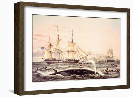 Whaling Off the Cape of Good Hope-Louis Lebreton-Framed Giclee Print