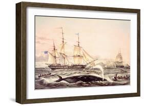 Whaling Off the Cape of Good Hope-Louis Lebreton-Framed Giclee Print