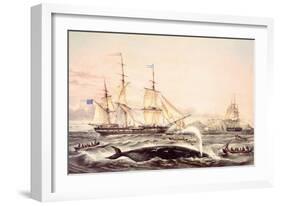 Whaling Off the Cape of Good Hope-Louis Lebreton-Framed Giclee Print