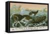 Whaling Off the Coast of South America-null-Framed Stretched Canvas