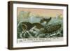 Whaling Off the Coast of South America-null-Framed Giclee Print