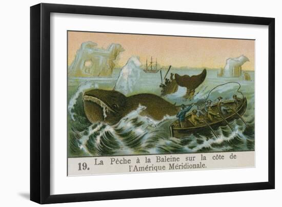 Whaling Off the Coast of South America-null-Framed Giclee Print