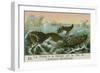 Whaling Off the Coast of South America-null-Framed Giclee Print