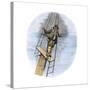 Whaling Schooner Lookout Calling, "There She Blows!"-null-Stretched Canvas