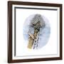 Whaling Schooner Lookout Calling, "There She Blows!"-null-Framed Giclee Print
