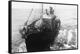 Whaling Ship in Antarctica-null-Framed Stretched Canvas