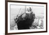 Whaling Ship in Antarctica-null-Framed Photographic Print