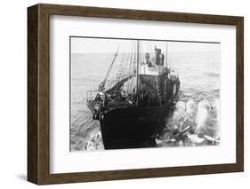 Whaling Ship in Antarctica-null-Framed Photographic Print