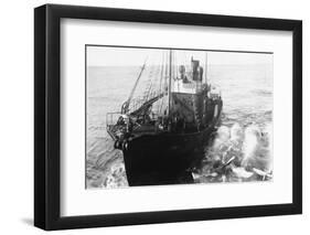 Whaling Ship in Antarctica-null-Framed Photographic Print